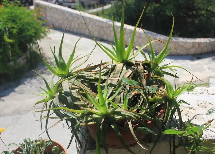 By The Sea Mali Apartament