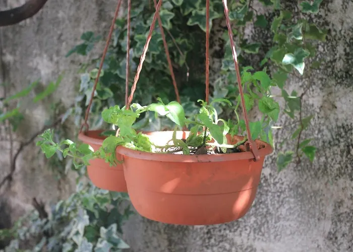 Apartament By The Sea Mali *