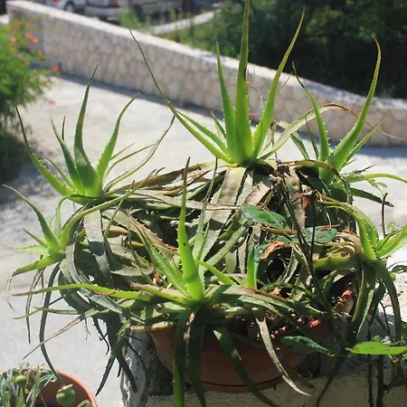 By The Sea Mali Appartamento